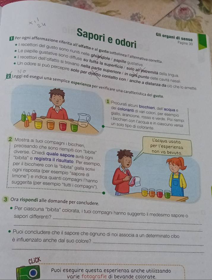 Sapori e odori
Gli organi di senso Pagina 30
Per ogni affermazione riferita all'olfatto e al gusto sottolinea l'alternativa corretta
I recettori del gusto sono riuniti nelle ghiandole / papille gustative
Le papille gustative sono diffuse su tutta la superficie / solo all'estremità della lingua
l recettori dell'olfatto si trovano nella parte superiore / in oghi punto delle cavità nasali
Un odore si può percepire solo per diretto contatto con / anche a distanza da ció che lo emette
Leggi ed eseguí una semplice esicare una caratterística del gusto
Procurati alcuni bicchieri, dell'acqua e
dei coloranti di vari colori, per esempio
giallo, arancione, rosso e verde. Poi riempi
i bicchieri con l'acqua e in ciascuno versa
un solo tipo di colorante.
2 Mostra ai tuoi compagni i bicchieri,
precisando che sono riempiti con “bibite”
diverse. Chiedi quale sapore avrà ogni
“bibita” e registra il risultato. Per esempio,
per il bicchiere con la “bibita” gialla scrivi
ogni risposta (per esempio “sapore di
limone") e indica quanti compagni I'hanno
suggerita (per esempio “tutti i compagni”).
3 Ora rispondi alle domande per concludere.
Per ciascuna “bibita” colorata, i tuoi compagni hanno suggerito il medesimo sapore o
sapori differenti?_
_
Puoí concludere che il sapore che ognuno di noi associa a un determinato cibo
_
è influenzato anche dal suo colore?
_
CLiCK
Puoi eseguire questa esperienza anche utilizzando
varie fotografie di bevande colorate.