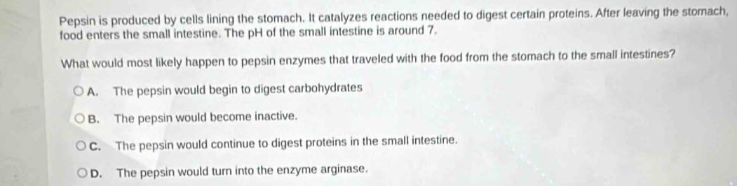 Pepsin is produced by cells lining the stomach. It catalyzes reactions needed to digest certain proteins. After leaving the stomach,
food enters the small intestine. The pH of the small intestine is around 7.
What would most likely happen to pepsin enzymes that traveled with the food from the stomach to the small intestines?
A. The pepsin would begin to digest carbohydrates
B. The pepsin would become inactive.
C. The pepsin would continue to digest proteins in the small intestine.
D. The pepsin would turn into the enzyme arginase.