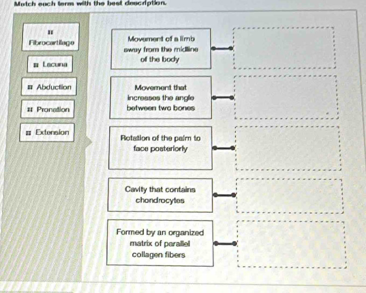 Mutch each term with the best description. 
Fibrocartilage Movement of a limb 
away from the midline 
Lacuna of the body 
Abduction Movement that 
increases the angle 
= Pronation between two bones 
Extension 
Rotation of the palm to 
face posteriorly 
Cavity that contains 
chandrocytes 
Formed by an organized 
matrix of parallel 
collagen fibers