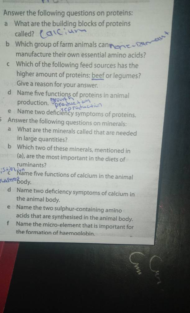 Answer the following questions on proteins: 
a What are the building blocks of proteins 
called? 
b Which group of farm animals can 
manufacture their own essential amino acids? 
c Which of the following feed sources has the 
higher amount of proteins: beef or legumes? 
Give a reason for your answer. 
d Name five functions of proteins in animal 
production. 
e Name two deficiency symptoms of proteins. 
Answer the following questions on minerals: 
a What are the minerals called that are needed 
in large quantities? 
b Which two of these minerals, mentioned in 
(a), are the most important in the diets of 
ruminants? 
Name five functions of calcium in the animal 
body. 
d Name two deficiency symptoms of calcium in 
the animal body. 
e Name the two sulphur-containing amino 
acids that are synthesised in the animal body. 
f Name the micro-element that is important for 
the formation of haemoglobin.