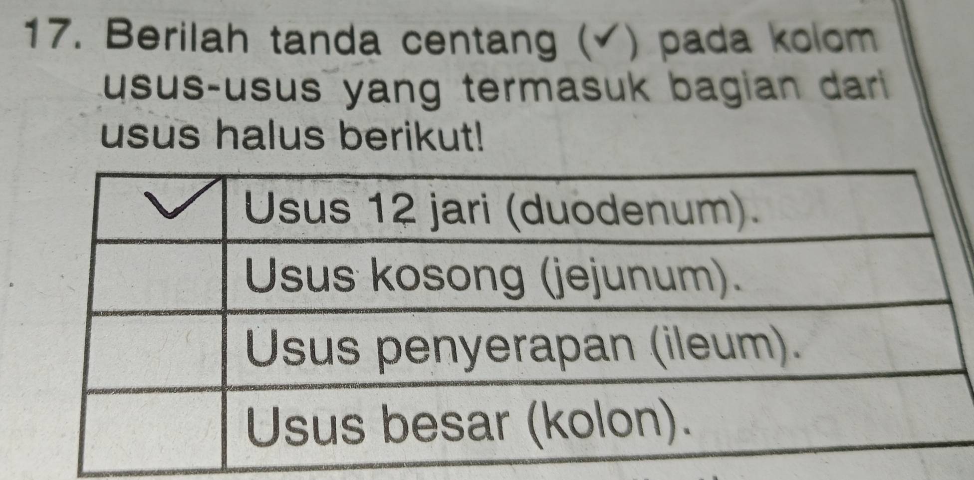 Berilah tanda centang (✔) pada kolom 
usus-usus yang termasuk bagian dar 
usus halus berikut!