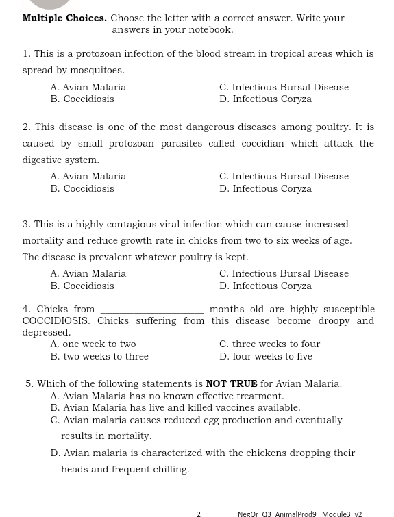 Choose the letter with a correct answer. Write your
answers in your notebook.
1. This is a protozoan infection of the blood stream in tropical areas which is
spread by mosquitoes.
A. Avian Malaria C. Infectious Bursal Disease
B. Coccidiosis D. Infectious Coryza
2. This disease is one of the most dangerous diseases among poultry. It is
caused by small protozoan parasites called coccidian which attack the
digestive system.
A. Avian Malaria C. Infectious Bursal Disease
B. Coccidiosis D. Infectious Coryza
3. This is a highly contagious viral infection which can cause increased
mortality and reduce growth rate in chicks from two to six weeks of age.
The disease is prevalent whatever poultry is kept.
A. Avian Malaria C. Infectious Bursal Disease
B. Coccidiosis D. Infectious Coryza
4. Chicks from _months old are highly susceptible
COCCIDIOSIS. Chicks suffering from this disease become droopy and
depressed.
A. one week to two C. three weeks to four
B. two weeks to three D. four weeks to five
5. Which of the following statements is NOT TRUE for Avian Malaria.
A. Avian Malaria has no known effective treatment.
B. Avian Malaria has live and killed vaccines available.
C. Avian malaria causes reduced egg production and eventually
results in mortality.
D. Avian malaria is characterized with the chickens dropping their
heads and frequent chilling.
NegOr Q3 AnimalProd9 Module3 v2