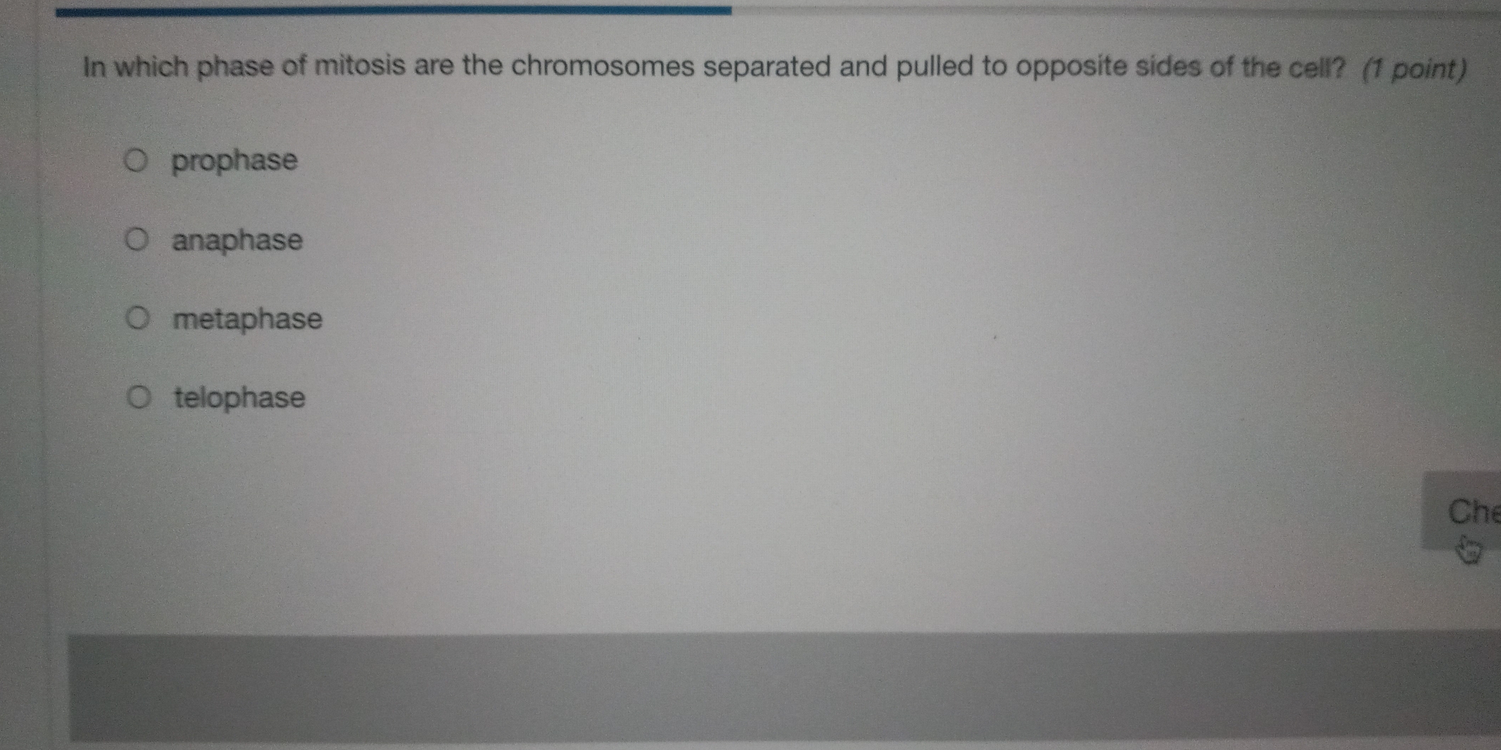 In which phase of mitosis are the chromosomes separated and pulled to opposite sides of the cell? (1 point)
prophase
anaphase
metaphase
telophase
Che