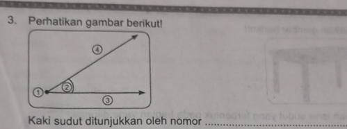 Perhatikan gambar berikut! 
Kaki sudut ditunjukkan oleh nomor_