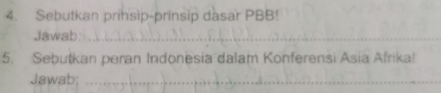 Sebutkan prinsip-prinsip dasar PBB! 
Jawab:_ 
5. Sebutkan peran Indonesia dalam Konferensi Asia Afrika! 
Jawab;_