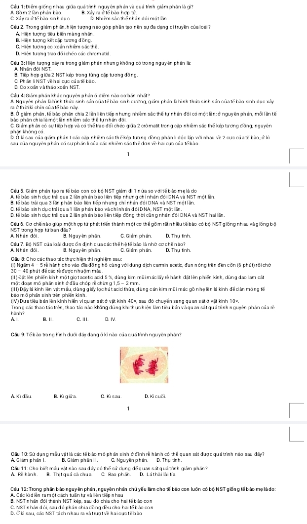 Cầu 1: Điểm giống nhau giữa quá trình nguyên phần và quá trình giám phần là gì?
A. Gồm 2 lần phân bào. B. Xảy ra ở tế bào hợp tử
C. Xảy ra ở tế bào sinh dục. D. Nhiễm sác thể nhân đôi một lần.
Cầu 2. Trong giám phân, hiện tượng nào góp phần tạo nên sự đa dạng di truyền của loài ?
A. Hiện tượng tiêu biến màng nhân,
B. Hiện tượng kết cặp tương đồng.
C. Hiện tượng co xoán nhiễm sắc thể.
D. Hiện tương trao đổi chéo các chrom atid
Cầu 3: Hiện tượng xảy ra trong giám phần nhưng không có trong nguyên phần là:
A. Nhân đồi NST.
B. Tiếp hợp giữa 2 NST kép trong từng cấp tương đồng
C. Phần li NST về h ai cưc củ a tế bào.
D. Co xoán và tháo xoán NST.
Cầu 4: Giám phần khác nguyên phần ở điểm nào cơ bản nhất?
A. Nguyên phần là hình thức sinh sản của tế bào sinh dưỡng; giám phần là hình thức sinh sản củatế bào sinh dục xây
ra ở thời kì chín củ a tế bào này.
B, Ở giám phần, tế bào phần chia 2 lần liên tiếp nhưng nhiễm sác thế tự nhân đồi có mộ t lần; ở nguyên phần, mỗi lần tế
bào phần chia là một lần nhiễm sác thế tưn hân đôi.
C. Giám phần có sự tiếp hợp và có thể trao đổi chéo giữa 2 crồ matit trong cấp nhiễm sắc thế kép tương đồng; nguyên
phân không có.
D. Ở kì sau của giám phần I các cặp nhiềm sắc thể kép tương đồng phân li độc lập với nhau về 2 cực của tế bào ; ở kì
sau của nguyên phần có sự phân li của các nhiễm sác thể đơn về hai cực của tế bào.
1
Cầu 5. Giám phần tạo ra tế bào con có bộ NST giám đi 1 nửa so với tế bào mẹ là do
A. tế bào sinh dục trái qua 2 lần phân bào liên tiếp nhưng chỉ nhân đồi DNA và NST một lần.
B. tế bào trải qua 3 lần phần bào liên tiếp nhưng chỉ nhân đồi DNA và NST một lần.
C. tế bào sinh dục trái qua 1 lần phần bào và chỉ nhân đồiD NA, NST một lần
D. tế bào sinh dục trái qua 2 lần phần bào liên tiếp đồng thời cũng nhân đồiDNA và NST hai lần
Cầu 6, Cơ chế nào giúp một hợp tử phát triển thành một cơ thế gồ m rất nhiều tế bào có bộ NST giống nhau và giống bộ
NST trong hợp tử ban đầu?
4 Nhân đổi B. Nguyên phần. C. Giám phần. D. Thu tinh.
Cầu 7, Bộ NST của loài được ổn định qua các thế hệ tế bào là nhờ cơ chế nào?
A. Nhân đồi. B. Nguyên phần. C, Giám phần. D. Thu tinh.
Cầu 8: C ho các thao tác thực hiện thí nghiệm sau:
(I) Ngầm 4 - 5 rễ hành cho vào đĩa đồng hồ cùng với dung dịch carmin acetic, đun nóng trên đèn cồn (6 phút) rồi chời
30 - 40 phút để các rề được nhuớm màu .
(II) Đặt lên phiến kính mộ t giọ t acetic acid 5 %, dùng kim mũi mác lấy rễ hành đặt lên phiến kính, dùng dao lam cất
một đoạn mô phần sinh ở đầu chóp rề chừng 1,5 - 2 mm.
(III) Đây lá kính lên vật mẫu, dùng giấy lọc hút acid thừa, dùng cán kim mũi mác gõ nhẹ lên lá kính để dàn mỏng tế
bào mô phần sinh trên phiến kính.
(IV) Đưa tiêu bản lên kính hiển vị quan sátở vật kính 40×, sau đó chuyển sang quan sátở vật kính 10×.
Trong các thao tác trên, thao tác nào không đúng khi thực hiện làm tiêu bản và quan sát quá trình nguyên phần của rề
hành ?
A. 1. B.Ⅱ. C. II. D. IV.
Cầu 9: Tế bào trong hình dưới đây đang ở kì nào của quá trình nguyên phân?
A. Kì đầu, B. Kì giữa C. Ki sau. D. Kì cuối.
1
Cầu 10: Sử dụng mẫu vật là các tế bào mô phần sinh ở đỉnh rễ hành có thể quan sát được quá trình nào sau đây?
A. Giám phần I. B, Giám phần II. C. Nguyên phần. D. Thụ tinh.
Cầu 11 : Cho biết mẫu vật nào sau đây có thể sử dụng để quan sát quá trình giám phần ?
A. Rễ hàn h. B. Thịt quả cà chu a. C. Bao phẩn. D. Lá thài lài tía.
Cầu 12: Trong phần bào nguyên phần, nguyên nhân chủ yếu làm cho tế bào con luôn có bộ NST giống tế bào mẹ là do:
A. Các kì diền ra một cách tuần tư và liên tiếp nhau
B. NST nhân đôi thành NST kép, sau đó chia cho hai tế bào con
C. NST nhân đồi, sau đó phân chia đồng đều cho hai tế bào con
D. Ở kì sau, các NST tách n hau ra và trượ t về hai cực tế bào