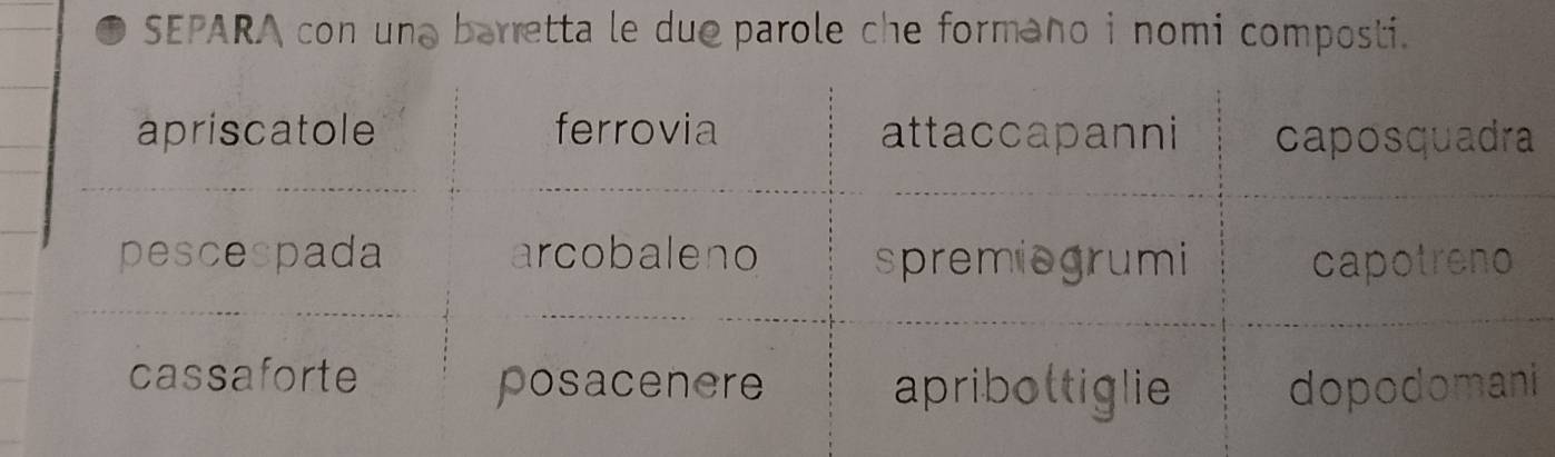 SEPARA con une barretta le due parole che formano i nomi composti.
apriscatole ferrovia attaccapanni caposquadra
pescespada arcobaleno spremiogrumi capotreno
cassaforte
posacenere apribottiglie dopodomani