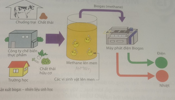 Sản xuất biogas — nhiên liệu sinh học