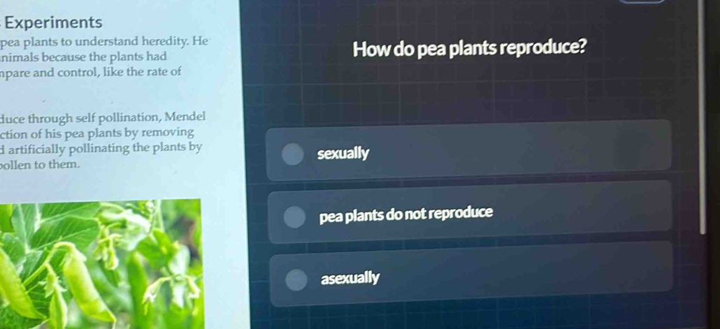 Experiments
pea plants to understand heredity. He
nimals because the plants had How do pea plants reproduce?
npare and control, like the rate of
duce through self pollination, Mendel
ction of his pea plants by removing 
d artificially pollinating the plants by
ollen to them. sexually
pea plants do not reproduce
asexually