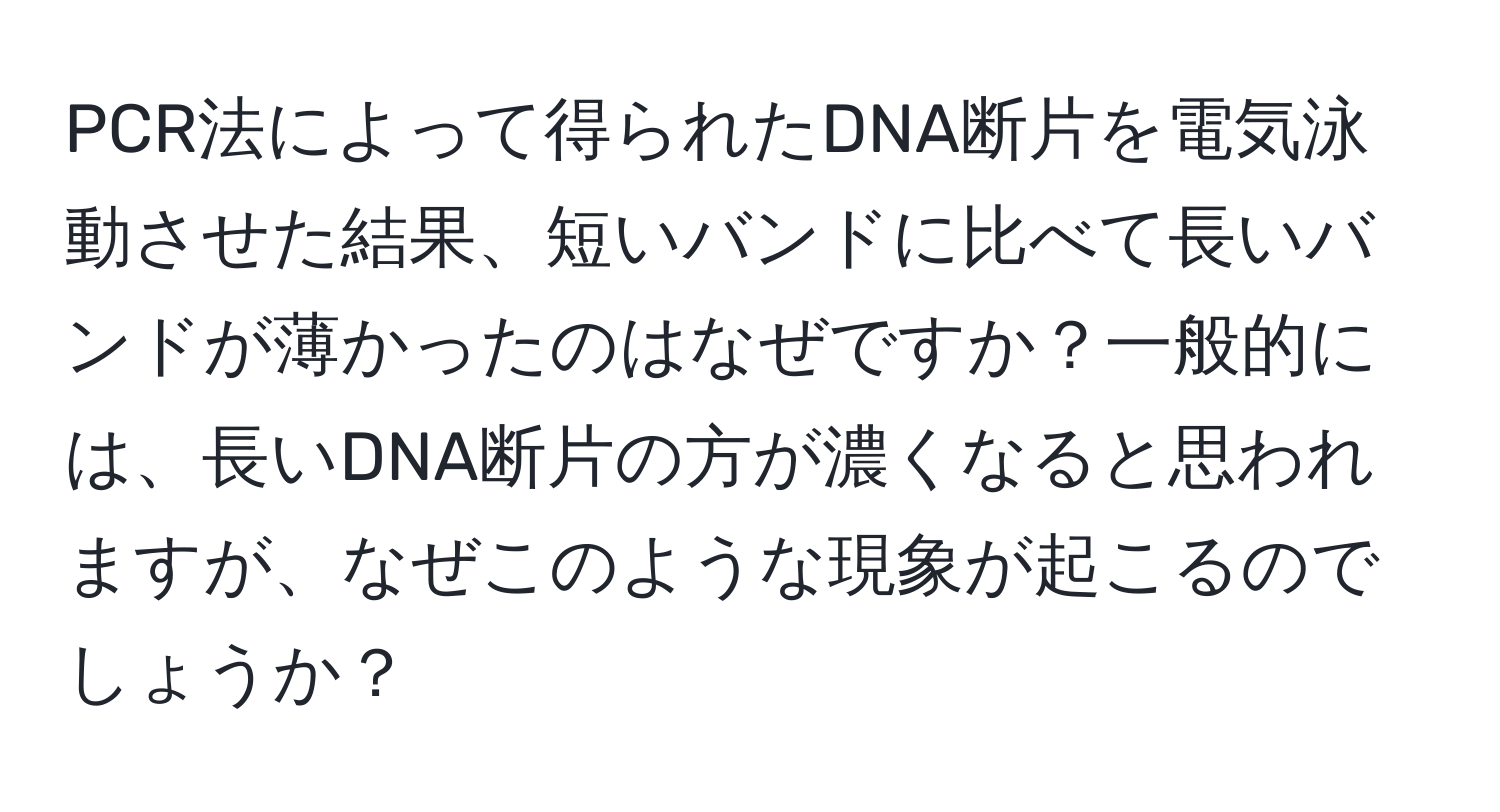 PCR法によって得られたDNA断片を電気泳動させた結果、短いバンドに比べて長いバンドが薄かったのはなぜですか？一般的には、長いDNA断片の方が濃くなると思われますが、なぜこのような現象が起こるのでしょうか？