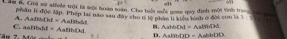 5,
aB
aB
har
Câu 6. Giả sử allele trội là trội hoàn toàn. Cho biết mỗi gene quy định một tính trạng, các gen 3:3 1:1
phân li độc lập. Phép lai nào sau đây cho tỉ lệ phân li kiểu hình ở đời con là
A. AaBbD d * AaBbdd. B. AabbDd* AaBbDd.
C. aaBbdd d* AaBbDd. D. AaBbDD* AabbDD. 
Tâu 7. Một cu