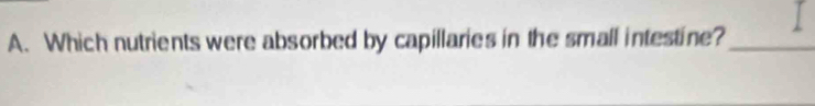 Which nutrients were absorbed by capillaries in the small intestine?_