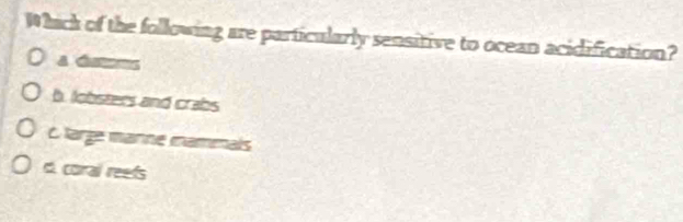 Which of the following are particularly sensitive to ocean acidification?
a dmm
b. lobsters and crabs
C large manne mammals
d. coral reefs