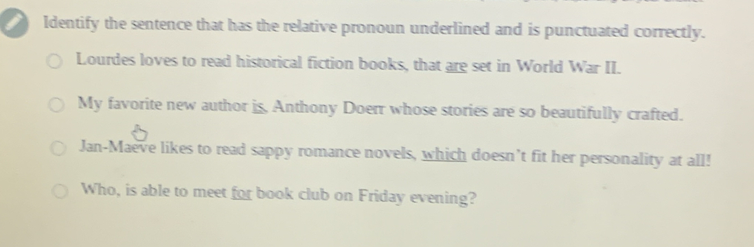 Identify the sentence that has the relative pronoun underlined and is punctuated correctly. 
Lourdes loves to read historical fiction books, that are set in World War II. 
My favorite new author is, Anthony Doerr whose stories are so beautifully crafted. 
Jan-Maeve likes to read sappy romance novels, which doesn’t fit her personality at all! 
Who, is able to meet for book club on Friday evening?