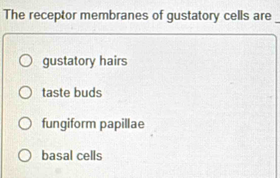 The receptor membranes of gustatory cells are_
gustatory hairs
taste buds
fungiform papillae
basal cells