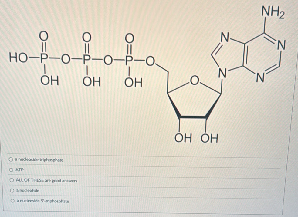 a nucleoside triphosphate
ATP
ALL OF THESE are good answers
a nucleotide
a nucleoside 5^1· triphosphate