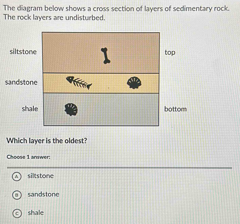 The diagram below shows a cross section of layers of sedimentary rock.
The rock layers are undisturbed.
siltston
sandston
sha
Which layer is the oldest?
Choose 1 answer:
A siltstone
B sandstone
c) shale