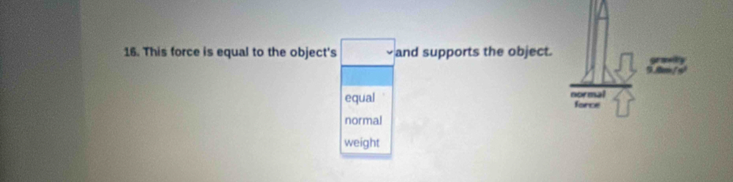 This force is equal to the object's □ and supports the object.
equal normal
force
normal
weight