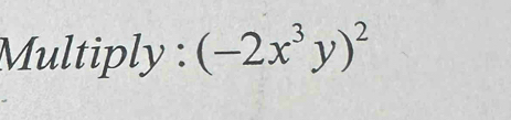 Multiply : (-2x^3y)^2