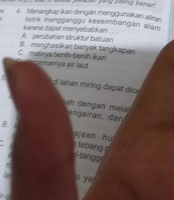 a 4. Menangkap ikan dengan menggunakan aliran
listrik mengganggu keseimbangan alam
karena dapat menyebabkan ....
A. perubahan struktur batuan
B. menghasilkan banyak tangkapan
C. malinya benîh-benîh ikan
Oetercemarnya air laut
5 di lahan miring dapat dic e
hah dengan mela
engairan, dan
B.
ajaan hu
tebang
B
I-tangg
lar
s ya
ira