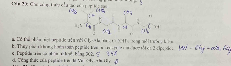 Cho công thức cấu tạo của peptide sau:
a. Có thể phân biệt peptide trên với Gly-Ala bằng Cu(OH)_2 trong môi trường kiêm.
b. Thủy phân không hoàn toàn peptide trên bởi enzyme thu được tối da 2 dipeptide.
c. Peptide trên có phân tử khối bằng 302.
d. Công thức của peptide trên là Val-Gly-Ala-Gly.