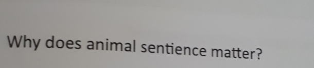 Why does animal sentience matter?