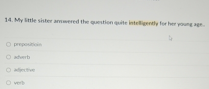 My little sister answered the question quite intelligently for her young age..
prepositioin
adverb
adjective
verb