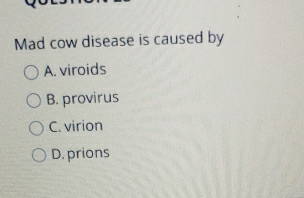 Mad cow disease is caused by
A. viroids
B. provirus
C. virion
D. prions