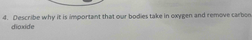 Describe why it is important that our bodies take in oxygen and remove carbon 
dioxide