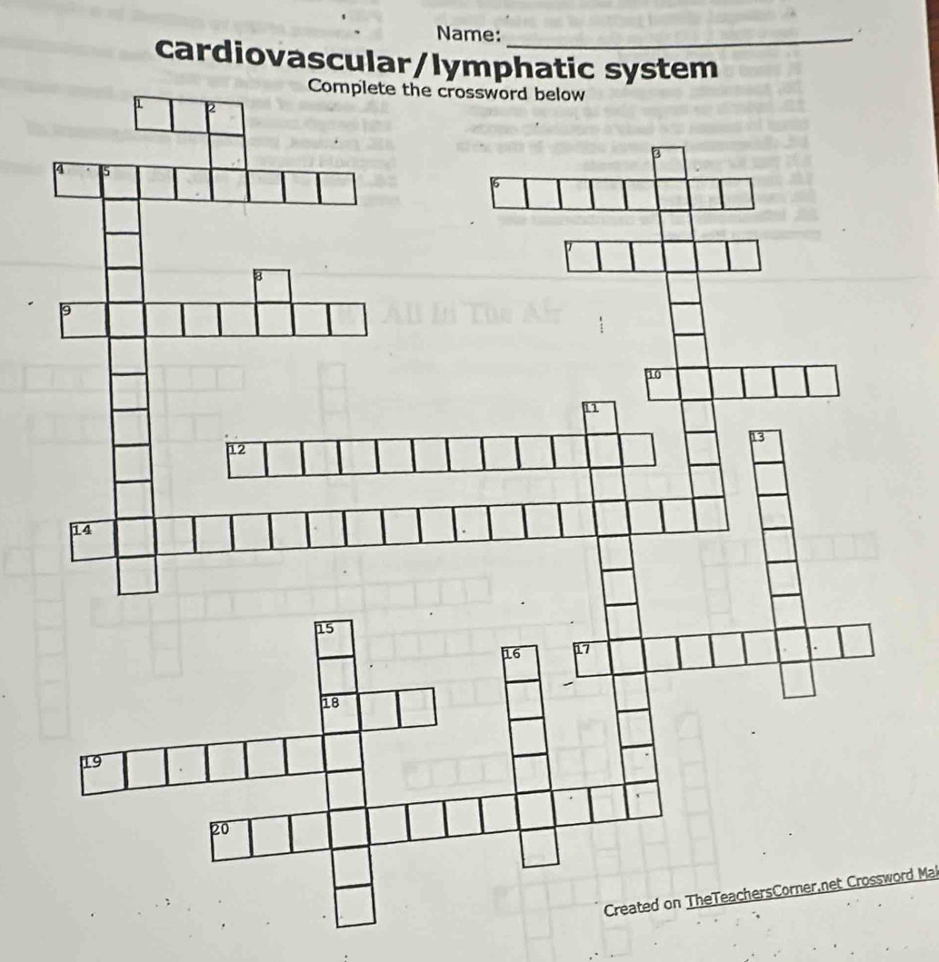 Name:_ 
cardiovascular/lymphatic system 
Complete the crosswor 
Created on TheTeachersCorner,net Crossword Mal