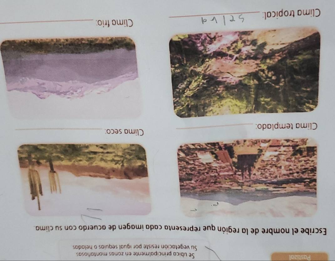 Pastizal Se ubica principalmente en zonas montañosas 
Su vegetación resiste por igual sequías o heladas 
Escribe el nombre de la región que representa cada imagen de acuerdo con su clima. 
_ 
Clima seco:_ 
Clima templado: 
Clima frio:_ 
Clima tropical:_