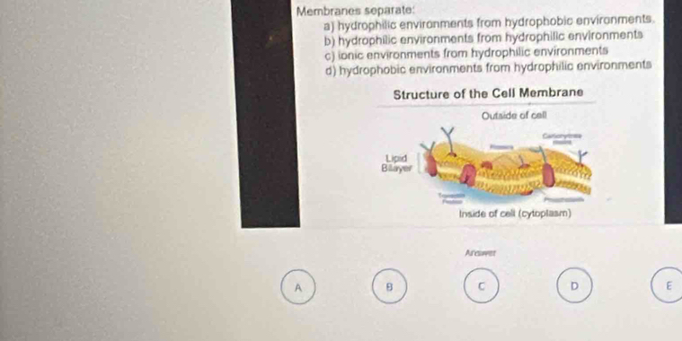 Membranes separate:
a) hydrophilic environments from hydrophobic environments.
b) hydrophilic environments from hydrophilic environments
c) ionic environments from hydrophilic environments
d) hydrophobic environments from hydrophilic environments
Arcuet
A B C D E