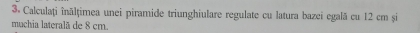 Calculați înălțimea unei piramide triunghiulare regulate cu latura bazei egală cu 12 cm și 
muchia lateralã de 8 cm.