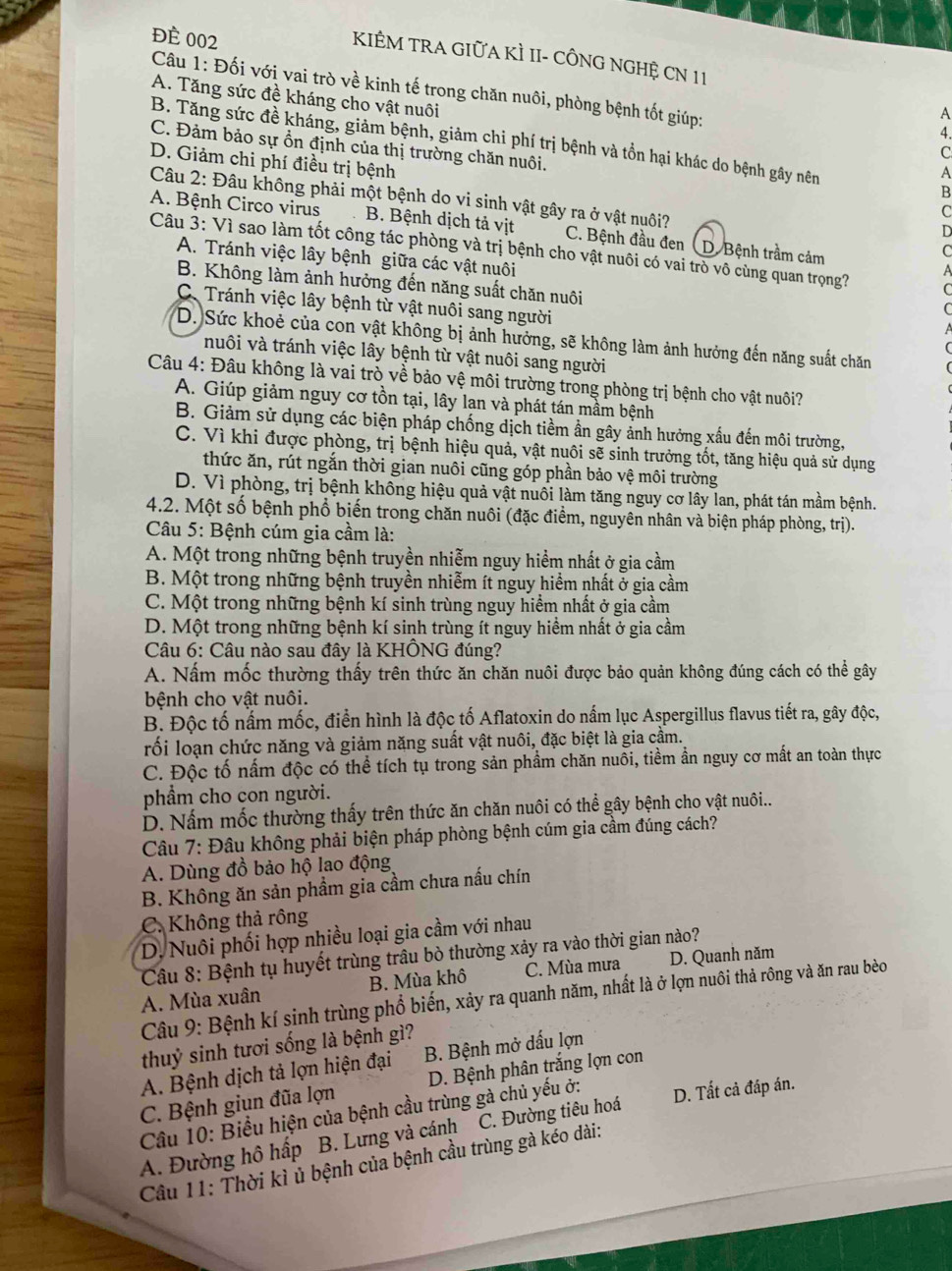 ĐÈ 002
KIÊM TRA GIỮA KÌ II- CÔNG NGHỆ CN 11
Câu 1: Đối với vai trò về kinh tế trong chăn nuôi, phòng bệnh tốt giúp:
A. Tăng sức đề kháng cho vật nuôi
A
4.
B. Tăng sức đề kháng, giảm bệnh, giảm chi phí trị bệnh và tồn hại khác do bệnh gây nên
C. Đảm bảo sự ổn định của thị trường chăn nuôi.
C
D. Giảm chi phí điều trị bệnh
A
B
Câu 2: Đâu không phải một bệnh do vi sinh vật gây ra ở vật nuôi?
C
A. Bệnh Circo virus B. Bệnh dịch tả vịt C. Bệnh đầu đen (D. Bệnh trầm cảm
D
C
Câu 3: Vì sao làm tốt công tác phòng và trị bệnh cho vật nuôi có vai trò vô cùng quan trọng? C
A. Tránh việc lây bệnh giữa các vật nuôi
A
B. Không làm ảnh hưởng đến năng suất chăn nuôi
C. Tránh việc lây bệnh từ vật nuôi sang người
D. Sức khoẻ của con vật không bị ảnh hưởng, sẽ không làm ảnh hưởng đến năng suất chăn
nuôi và tránh việc lây bệnh từ vật nuôi sang người
Câu 4: Đâu không là vai trò về bảo vệ môi trường trong phòng trị bệnh cho vật nuôi?
A. Giúp giảm nguy cơ tồn tại, lây lan và phát tán mầm bệnh
B. Giảm sử dụng các biện pháp chống dịch tiềm ần gây ảnh hưởng xấu đến môi trường,
C. Vì khi được phòng, trị bệnh hiệu quả, vật nuôi sẽ sinh trưởng tốt, tăng hiệu quả sử dụng
thức ăn, rút ngắn thời gian nuôi cũng góp phần bảo vệ môi trường
D. Vì phòng, trị bệnh không hiệu quả vật nuôi làm tăng nguy cơ lây lan, phát tán mầm bệnh.
4.2. Một số bệnh phổ biến trong chăn nuôi (đặc điểm, nguyên nhân và biện pháp phòng, trị).
Câu 5: Bệnh cúm gia cầm là:
A. Một trong những bệnh truyền nhiễm nguy hiểm nhất ở gia cầm
B. Một trong những bệnh truyền nhiễm ít nguy hiểm nhất ở gia cầm
C. Một trong những bệnh kí sinh trùng nguy hiểm nhất ở gia cầm
D. Một trong những bệnh kí sinh trùng ít nguy hiểm nhất ở gia cầm
*  Câu 6: Câu nào sau đây là KHÔNG đúng?
A. Nấm mốc thường thấy trên thức ăn chăn nuôi được bảo quản không đúng cách có thể gây
bệnh cho vật nuôi.
B. Độc tố nấm mốc, điển hình là độc tố Aflatoxin do nấm lục Aspergillus flavus tiết ra, gây độc,
rối loạn chức năng và giảm năng suất vật nuôi, đặc biệt là gia cầm.
C. Độc tố nấm độc có thể tích tụ trong sản phẩm chăn nuôi, tiềm ần nguy cơ mất an toàn thực
phẩm cho con người.
D. Nấm mốc thường thấy trên thức ăn chăn nuôi có thể gây bệnh cho vật nuôi...
Câu 7: Đâu không phải biện pháp phòng bệnh cúm gia cầm đúng cách?
A. Dùng đồ bảo hộ lao động
B. Không ăn sản phẩm gia cầm chưa nấu chín
C. Không thả rông
D. Nuôi phối hợp nhiều loại gia cầm với nhau
Câu 8: Bệnh tụ huyết trùng trâu bò thường xảy ra vào thời gian nào?
B. Mùa khô C. Mùa mưa D. Quanh năm
A. Mùa xuân  Câu 9: Bệnh kí sinh trùng phổ biến, xảy ra quanh năm, nhất là ở lợn nuôi thả rông và ăn rau bèo
thuỷ sinh tươi sống là bệnh gì?
A. Bệnh dịch tả lợn hiện đại B. Bệnh mở dấu lợn
C. Bệnh giun đũa lợn D. Bệnh phân trắng lợn con
Câu 10: Biểu hiện của bệnh cầu trùng gà chủ yếu ở:
A. Đường hô hấp B. Lưng và cánh C. Đường tiêu hoá D. Tất cả đáp án.
Câu 11: Thời kì ủ bệnh của bệnh cầu trùng gà kéo dài: