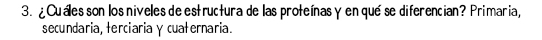 ¿ Cuáles son los niveles de estructura de las proteínas γ en qué se diferencian? Primaria, 
secundaria, terciariaγ cuaternaria.