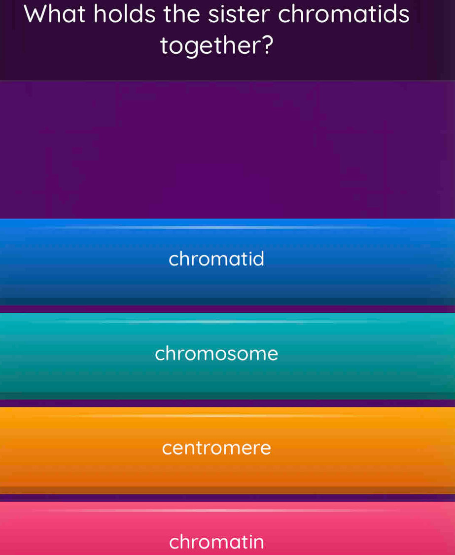 What holds the sister chromatids
together?
chromatid
chromosome
centromere
chromatin