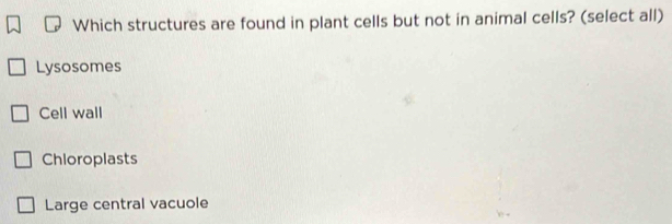 Which structures are found in plant cells but not in animal cells? (select all)
Lysosomes
Cell wall
Chloroplasts
Large central vacuole