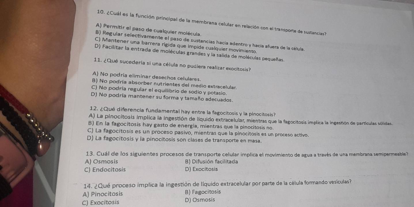 ¿Cuál es la función principal de la membrana celular en relación con el transporte de sustancias?
A) Permitir el paso de cualquier molécula.
B) Regular selectivamente el paso de sustancias hacia adentro y hacia afuera de la célula.
C) Mantener una barrera rígida que impide cualquier movimiento.
D) Facilitar la entrada de moléculas grandes y la salida de moléculas pequeñas.
11. ¿Qué sucedería si una célula no pudiera realizar exocitosis?
A) No podría eliminar desechos celulares.
B) No podría absorber nutrientes del medio extracelular.
C) No podría regular el equilibrio de sodio y potasio.
D) No podría mantener su forma y tamaño adecuados.
12. ¿Qué diferencia fundamental hay entre la fagocitosis y la pinocitosis?
A) La pinocitosis implica la ingestión de líquido extracelular, mientras que la fagocitosis implica la ingestión de partículas sólidas.
B) En la fagocitosis hay gasto de energía, mientras que la pinocitosis no.
C) La fagocitosis es un proceso pasivo, mientras que la pinocitosis es un proceso activo.
D) La fagocitosis y la pinocitosis son clases de transporte en masa.
13. Cuál de los siguientes procesos de transporte celular implica el movimiento de agua a través de una membrana semipermeable?
A) Osmosis B) Difusión facilitada
C) Endocitosis D) Exocitosis
14. ¿Qué proceso implica la ingestión de líquido extracelular por parte de la célula formando vesículas?
A) Pinocitosis B) Fagocitosis
C) Exocitosis D) Osmosis