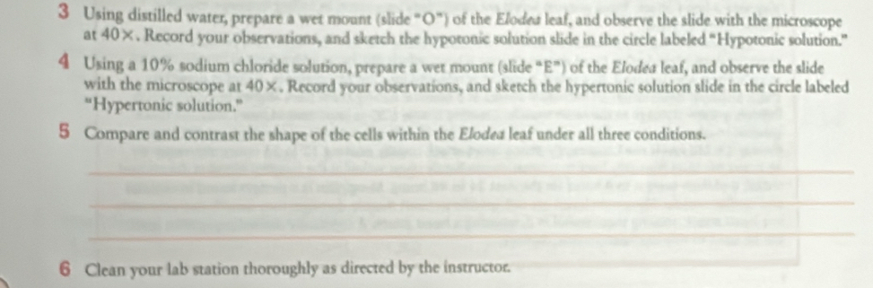 Using distilled water, prepare a wet mount (slide "O") of the Eloded leaf, and observe the slide with the microscope 
at 40×. Record your observations, and sketch the hypotonic solution slide in the circle labeled “Hypotonic solution.” 
4 Using a 10% sodium chloride solution, prepare a wet mount (slide “E”) of the Elodea leaf, and observe the slide 
with the microscope at 40×. Record your observations, and sketch the hypertonic solution slide in the circle labeled 
“Hypertonic solution.” 
5 Compare and contrast the shape of the cells within the Elodea leaf under all three conditions. 
_ 
_ 
_ 
6 Clean your lab station thoroughly as directed by the instructor. 
_