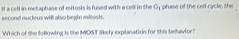 If a cell in metaphase of mitosis is fused with a cell in the G1 phase of the cell cycle, the 
second nucleus will also begin mitosis. 
Which of the following is the MOST likely explanation for this behavior?