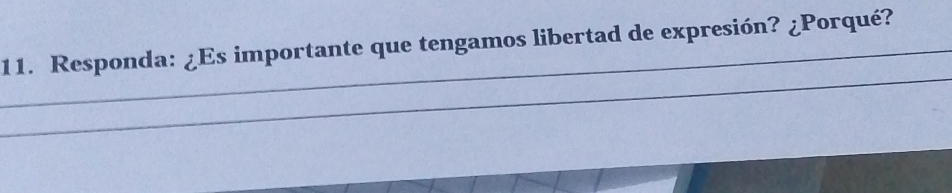 Responda: ¿Es importante que tengamos libertad de expresión? ¿Porqué? 
_