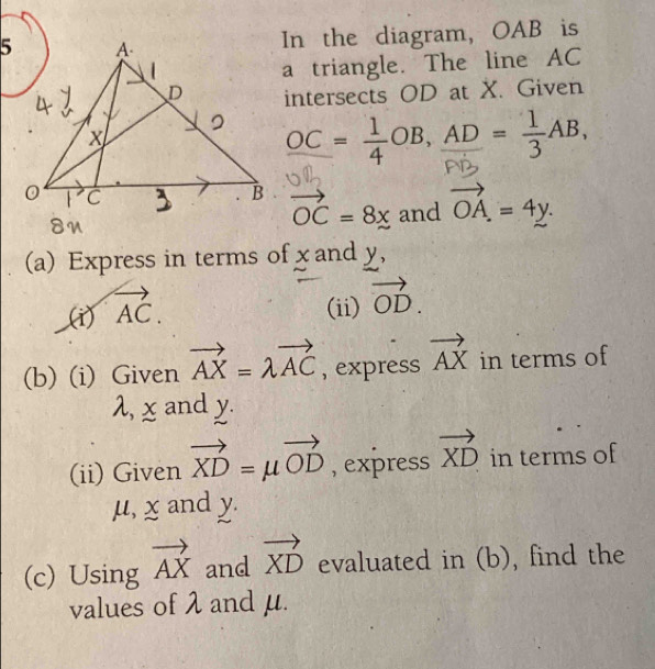 In the diagram, OAB is 
a triangle. The line AC
intersects OD at X. Given
OC= 1/4 OB, frac AD= 1/3 AB,
vector OC=8x and vector OA=4y. 
(a) Express in terms of χand y, 
(i) vector AC. 
(ii) vector OD. 
(b) (i) Given vector AX=lambda vector AC , express vector AX in terms of
λ, χ and y. 
(ii) Given vector XD=mu vector OD , express vector XD in terms of
μ, x and y. 
(c) Using vector AX and vector XD evaluated in (b), find the 
values of λ and μ.