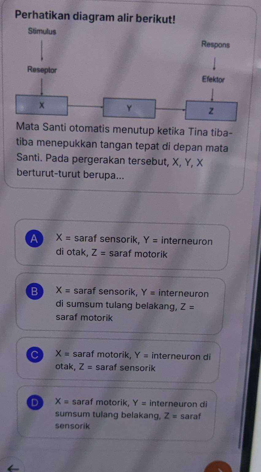 Perhatikan diagram alir berikut!
Mata Santi otomatis menutup ketika Tina tiba-
tiba menepukkan tangan tepat di depan mata
Santi. Pada pergerakan tersebut, X, Y, X
berturut-turut berupa...
A X= saraf sensorik, Y= interneuron
di otak, Z= saraf motorik
B X= saraf sensorik, Y= interneuron
di sumsum tulang belakang, Z=
saraf motorik
C X= saraf motorik, Y= interneuron di
otak, Z= saraf sensorik
D X= saraf motorik, Y= interneuron di
sumsum tulang belakang, Z= saraf
sensorik