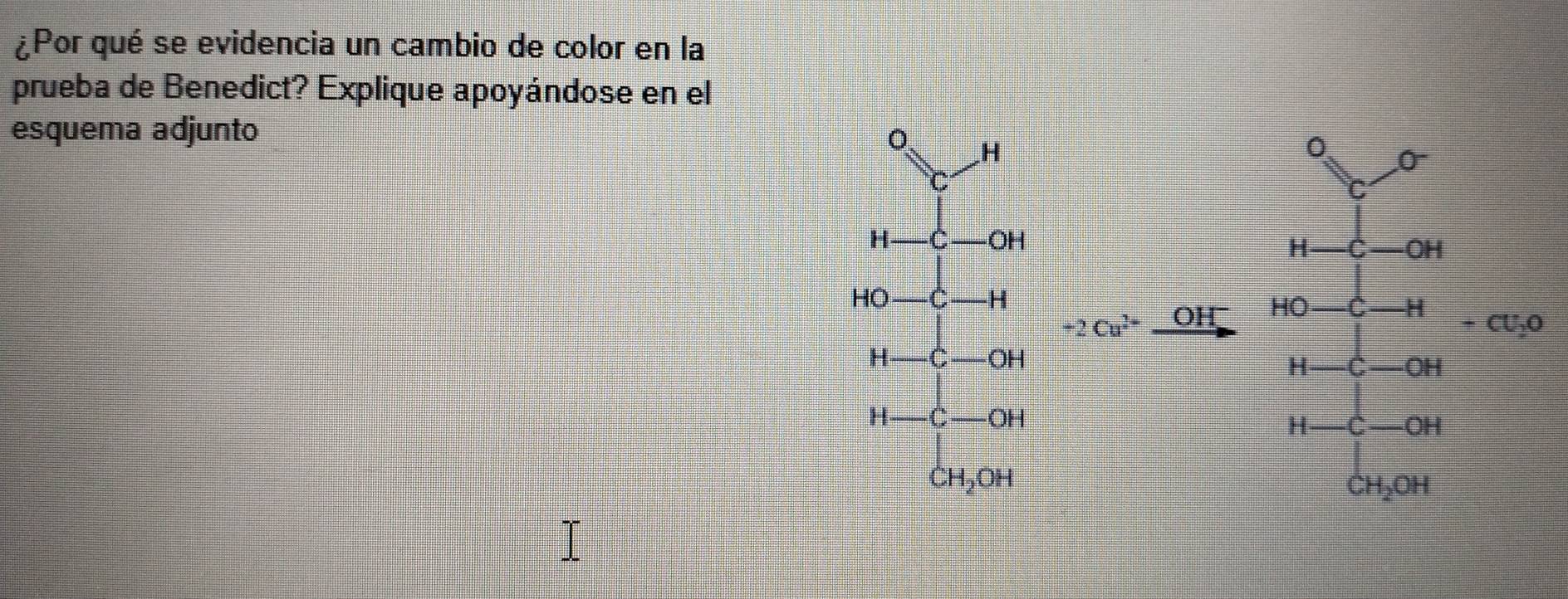 Resuelto:¿Por qué se evidencia un cambio de color en la prueba de ...