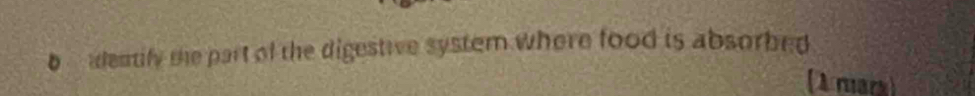 alentify the part of the digestive system where food is absorbed 
(A mars)