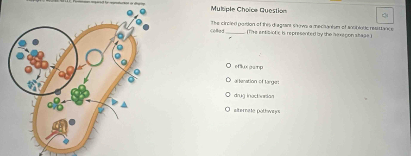 Fermnsion rquired for reproduction or disptay Multiple Choice Question
The circled portion of this diagram shows a mechanism of antibiotic resistance
called_ (The antibiotic is represented by the hexagon shape.)
efflux pump
alteration of target
drug inactivation
alternate pathways