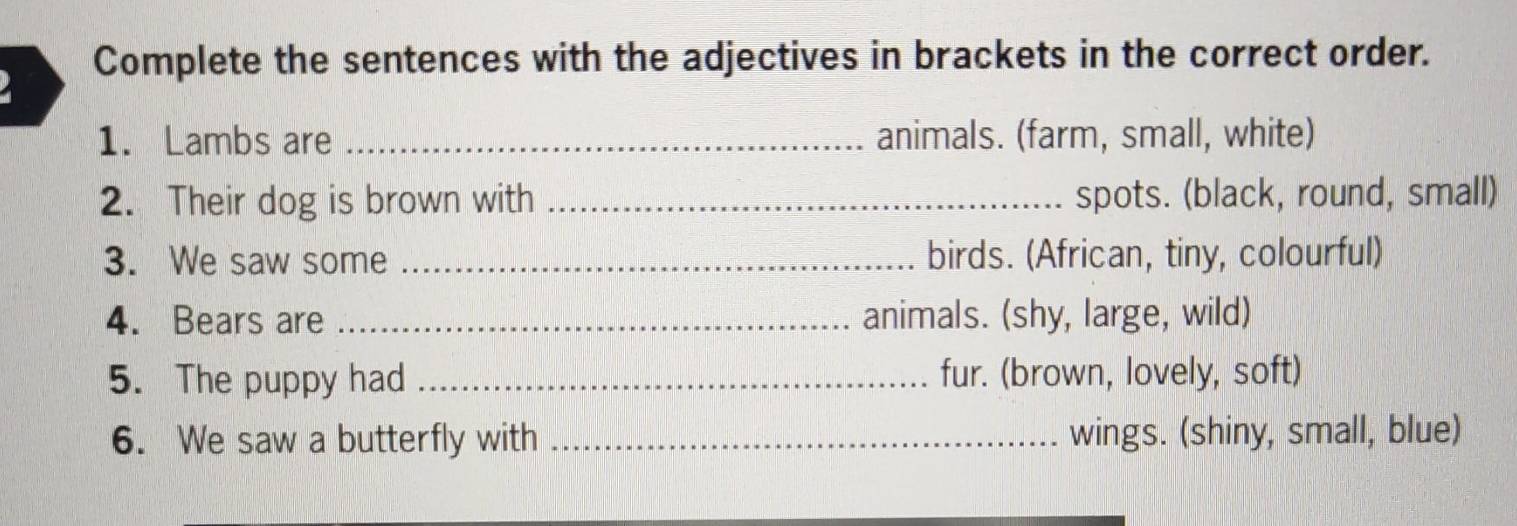 Complete the sentences with the adjectives in brackets in the correct order. 
1. Lambs are _animals. (farm, small, white) 
2. Their dog is brown with _spots. (black, round, small) 
3. We saw some _birds. (African, tiny, colourful) 
4. Bears are _animals. (shy, large, wild) 
5. The puppy had _fur. (brown, lovely, soft) 
6. We saw a butterfly with _wings. (shiny, small, blue)