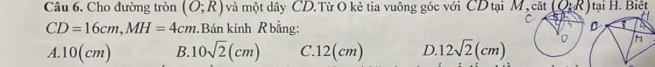 Cho đường tròn (O;R) và một dây CD.Từ O kẻ tia vuông góc với CD tại M , cặt   tại H. Biệt
CD=16cm,MH=4cm Bán kính R bằng:
A. 10(cm) B. 10sqrt(2)(cm) C. 12(cm) D. 12sqrt(2)(cm)