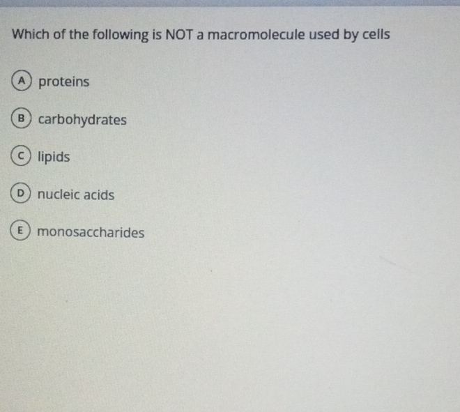 Which of the following is NOT a macromolecule used by cells
A proteins
B carbohydrates
lipids
D) nucleic acids
E monosaccharides