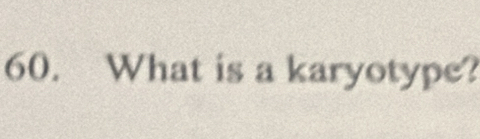 What is a karyotype?